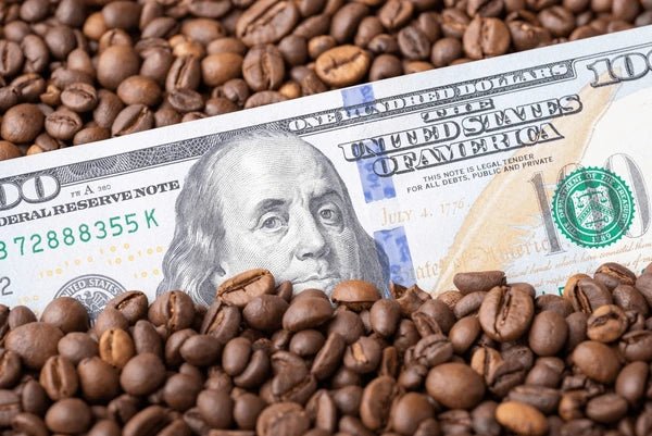 Navigating Coffee Prices: A Harvester's Perspective
