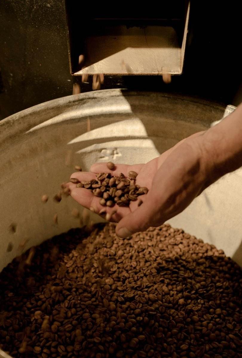 Understanding Roast Levels: How They Shape Your Coffee Experience