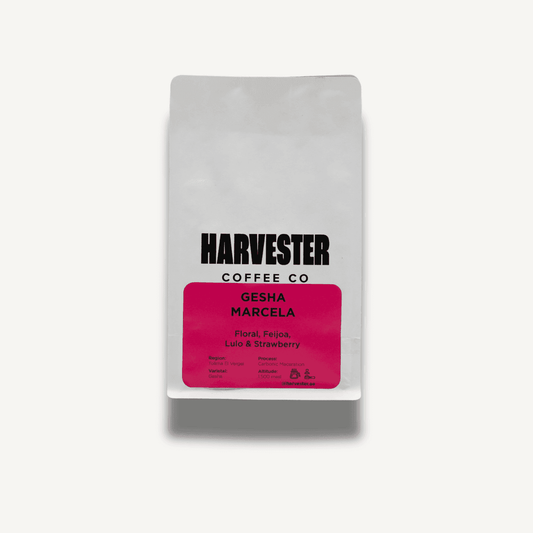 Colombia Gesha Marcela Carbonic Maceration specialty coffee in 250g bag with floral and tropical flavor notes