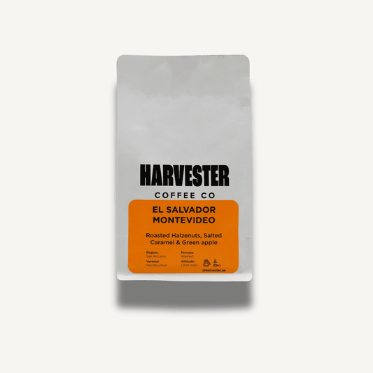 El Salvador Montevideo Washed specialty coffee bag with tasting notes of roasted hazelnuts, salted caramel, and green apple