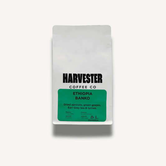 Ethiopia Yirgacheffe Banko Double Washed specialty coffee in 250g bag with fruity red berry and floral flavor notes