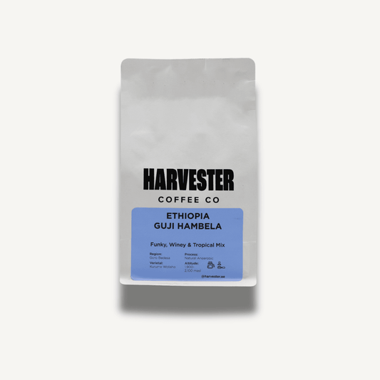 Guji Hambela Natural Anaerobic coffee bag with tasting notes of funky, winey, and tropical fruit flavors