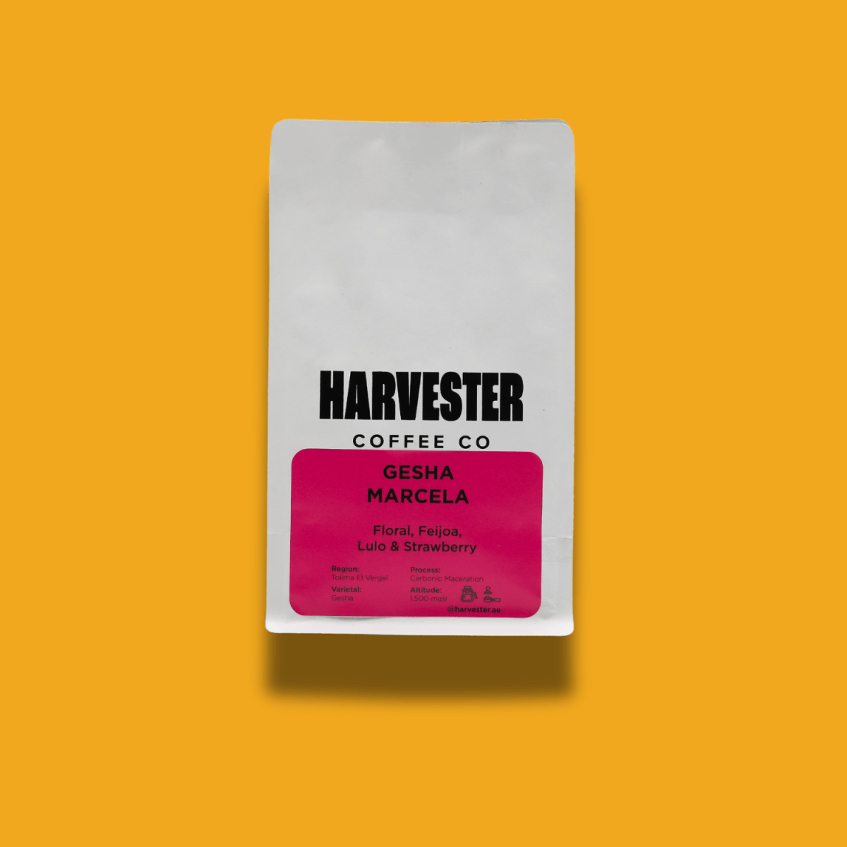 Colombia Gesha Marcela Carbonic Maceration - Harvester Coffee Co - Coffee beans