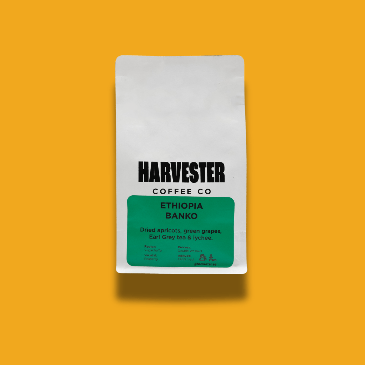 Ethiopia Yirgacheffe Banko Double Washed - Harvester Coffee Co - Coffee beans