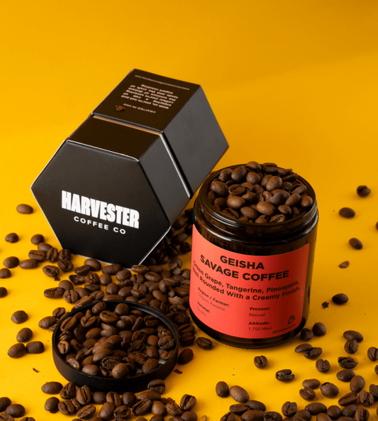 Panama Geisha Natural - Harvester Coffee Co - Coffee beans