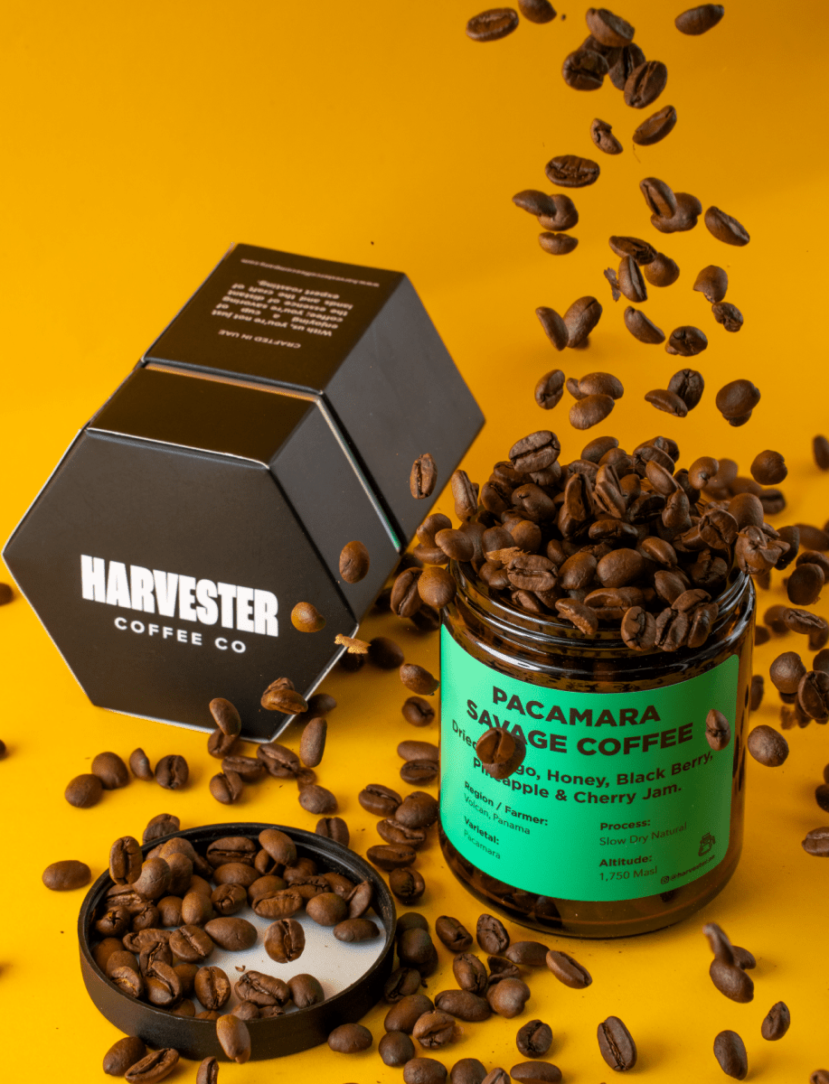 Panama Pacamara Slow dry Natural - Harvester Coffee Co - Coffee beans