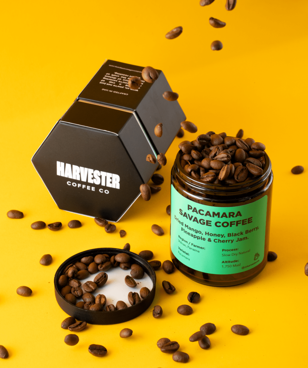 Panama Pacamara Slow dry Natural - Harvester Coffee Co - Coffee beans