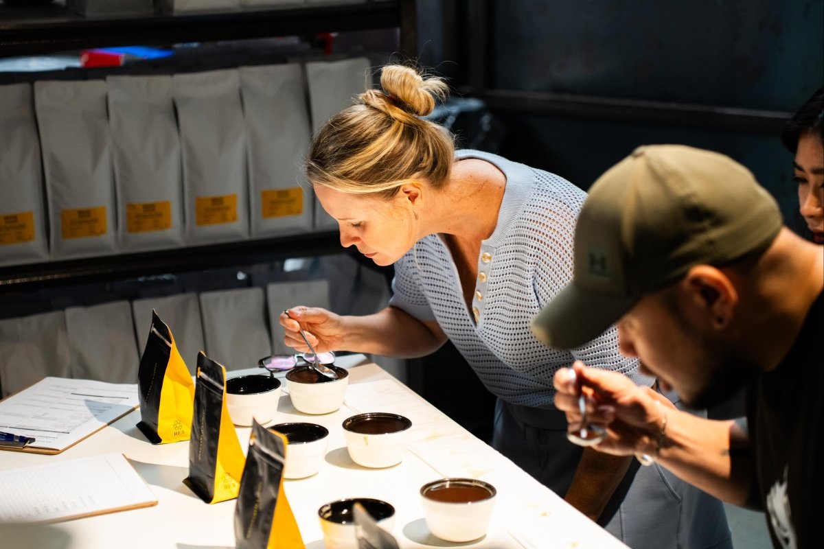 Sensory Skills Professional – (SCA Certified) - Harvester Coffee Co - Classes