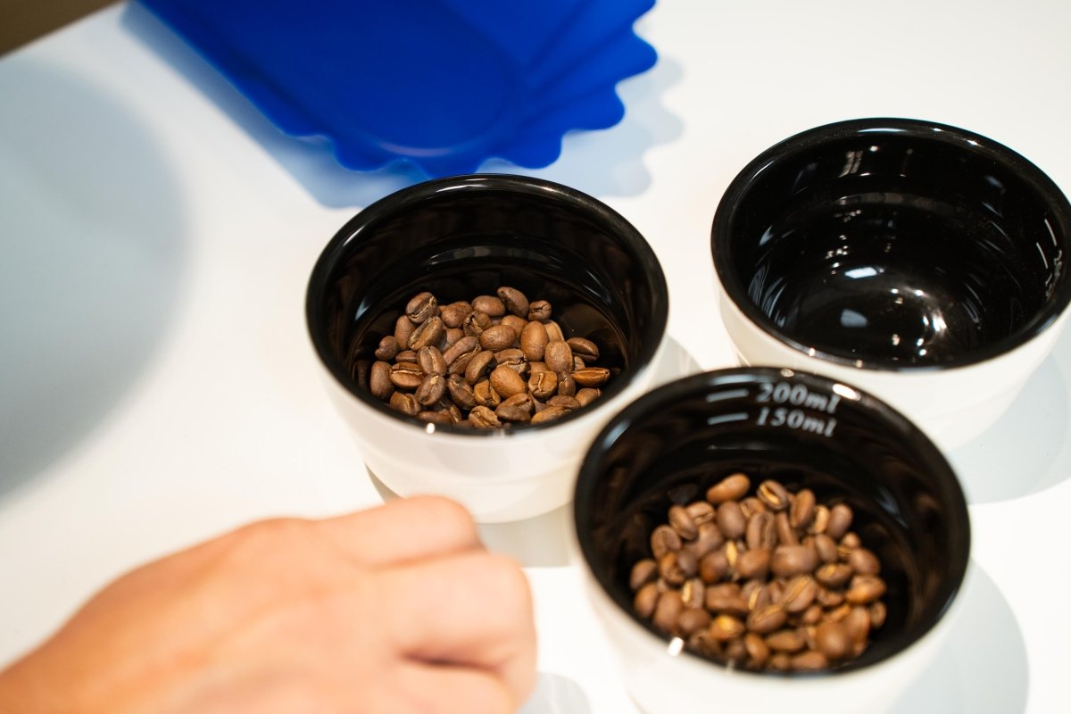 Sensory Skills Professional – (SCA Certified) - Harvester Coffee Co - Classes