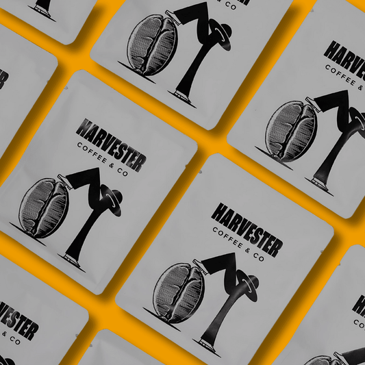 Assortment of premium specialty drip bags with rotating micro-lot coffees from Ethiopia, Latin America, and beyond