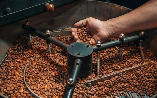 Coffee Roasting: Mastering Flavor Development - Harvester Coffee Co