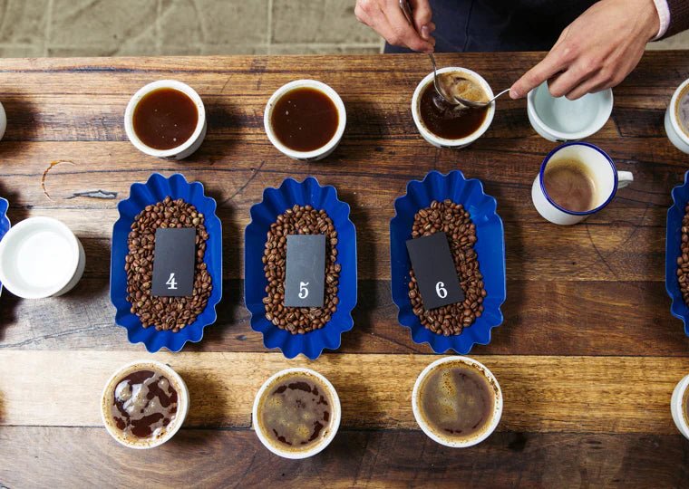 The Art of Coffee Tasting - Harvester Coffee Co