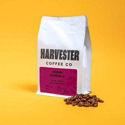 Colombia Gesha Marcela Carbonic Maceration specialty coffee in premium 250g bag from Marcela Farm