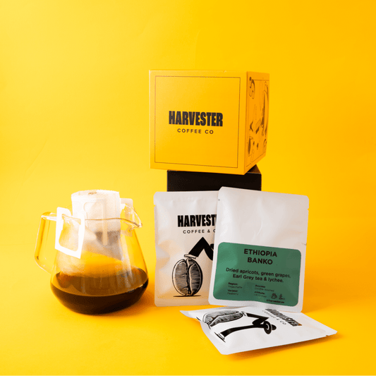 Ethiopia Banko Drip Bags - Harvester Coffee Co - Drip Bags