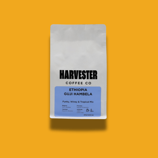 Ethiopia Guji Hambela Natural Anaerobic - Harvester Coffee Co - Coffee beans