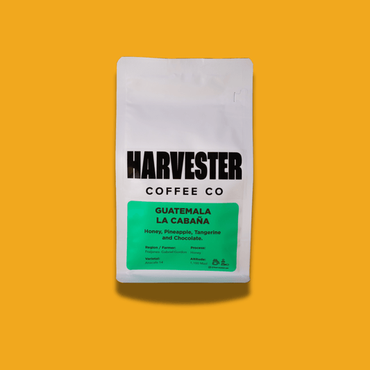 Guatemala La Cabaña Honey - Harvester Coffee Co - 