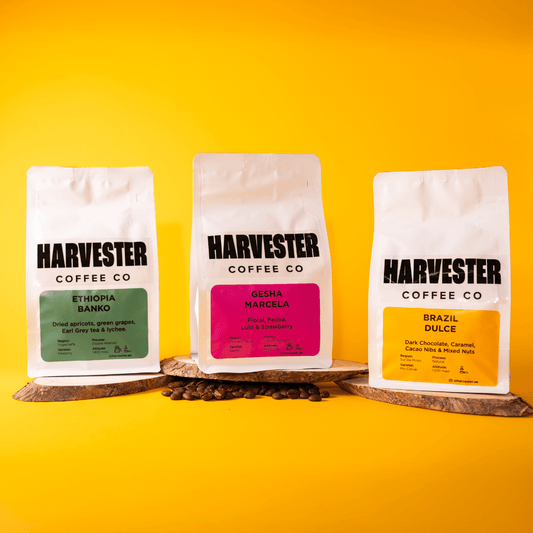 Harvester Coffee Set - Harvester Coffee Co - 