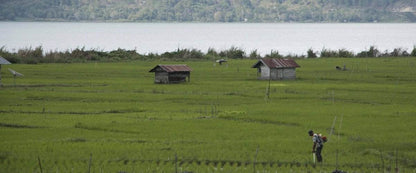 Indonesia Frinsa Manis Natural - Harvester Coffee Co