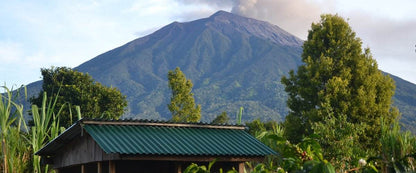 Indonesia Frinsa Manis Natural - Harvester Coffee Co