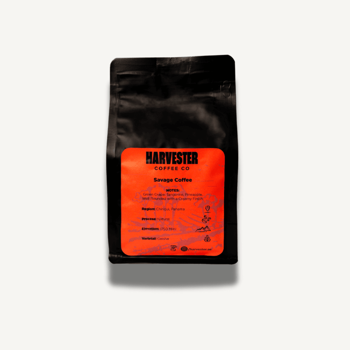 Panama Geisha Natural - Harvester Coffee Co