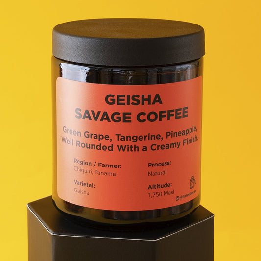 Panama Geisha Natural - Harvester Coffee Co - Coffee beans