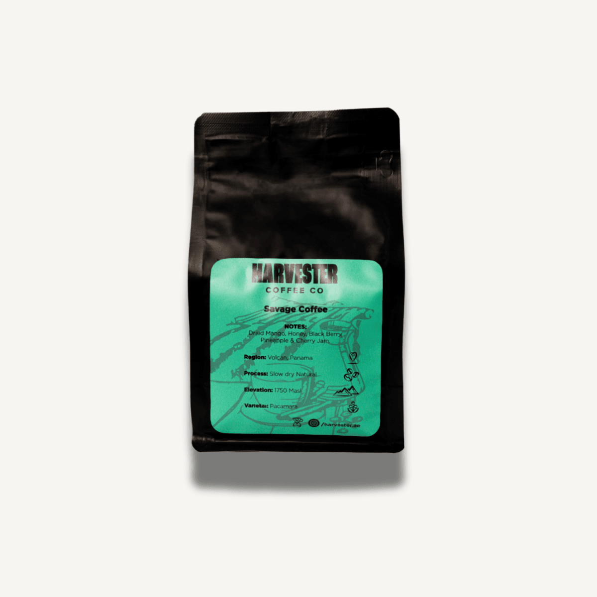Panama Pacamara Slow dry Natural - Harvester Coffee Co