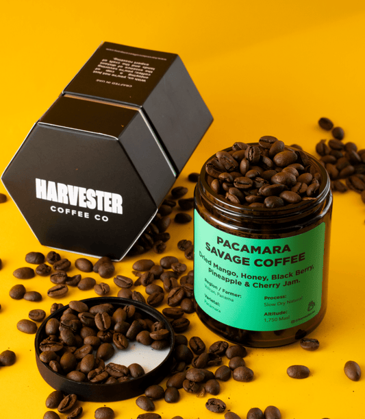 Panama Pacamara Slow dry Natural - Harvester Coffee Co - Coffee beans